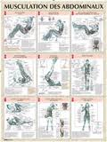 les meilleurs mouvements d'abdominaux